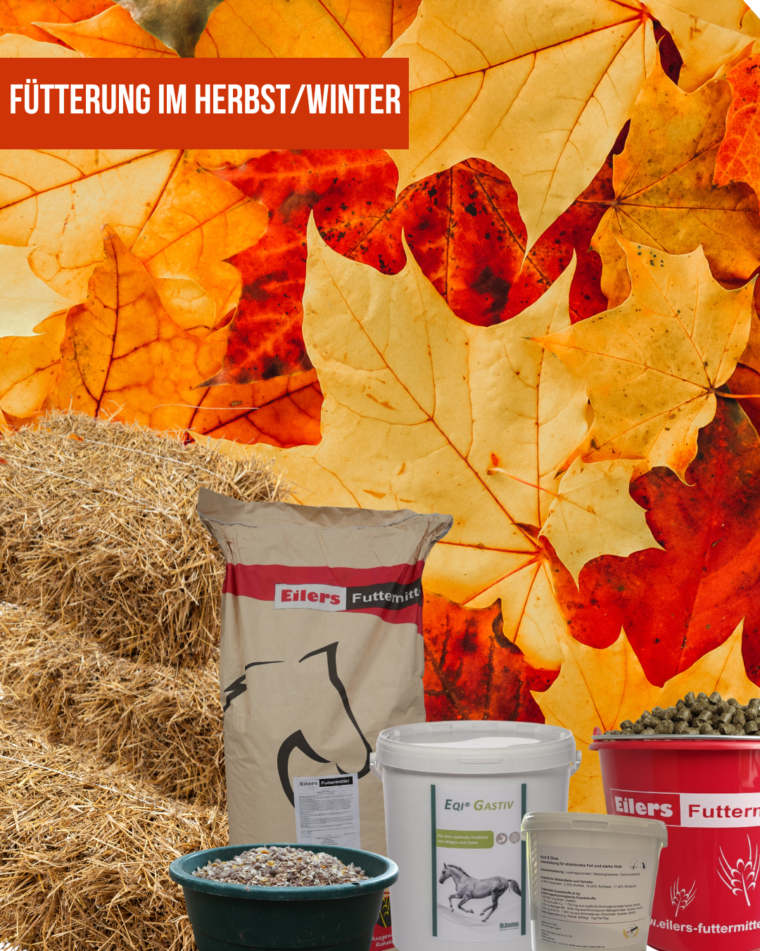 Fütterung im Herbst und Winter