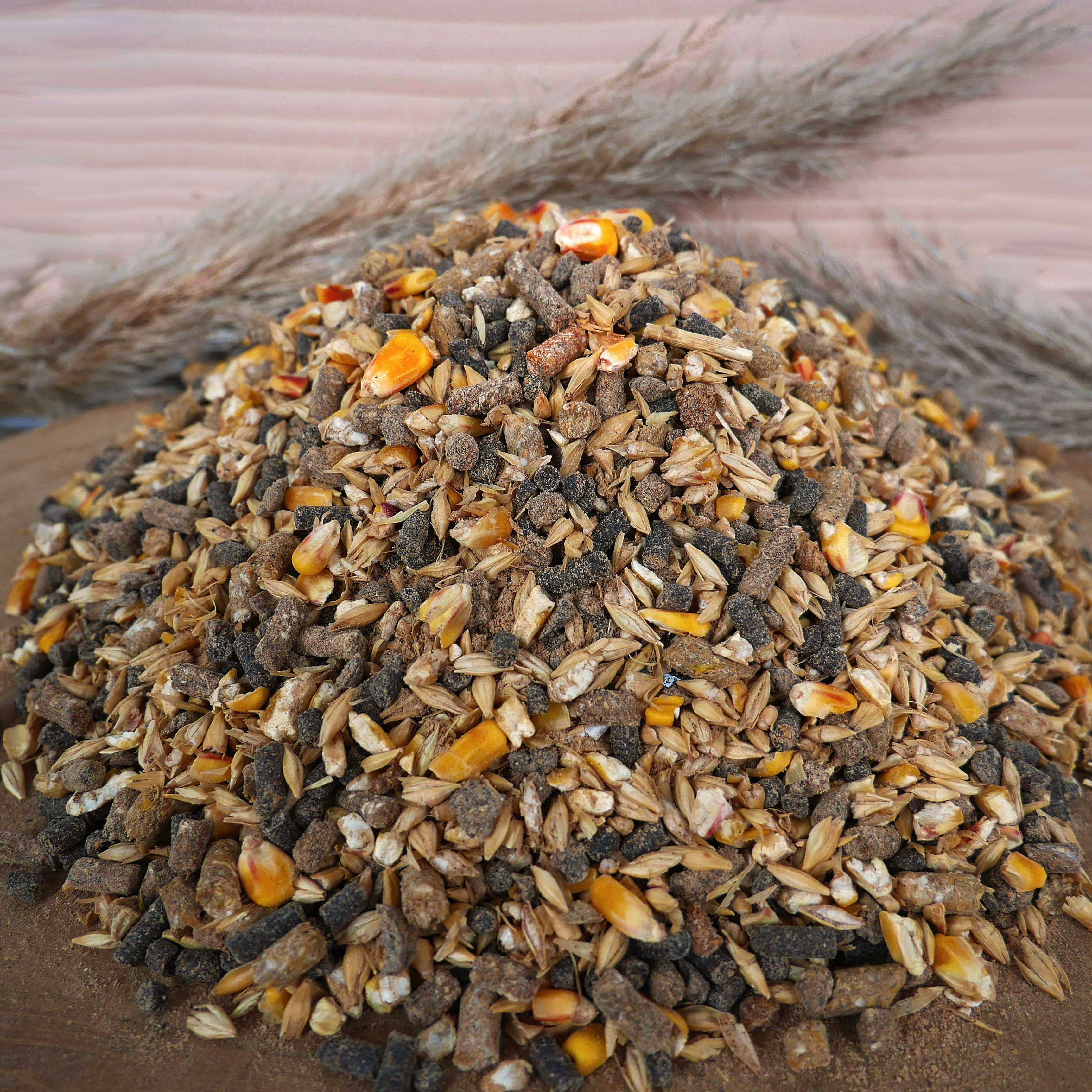 Hochwertiges Pferdefutter für Gesundheit, Vitalität und Leistungsfähigkeit