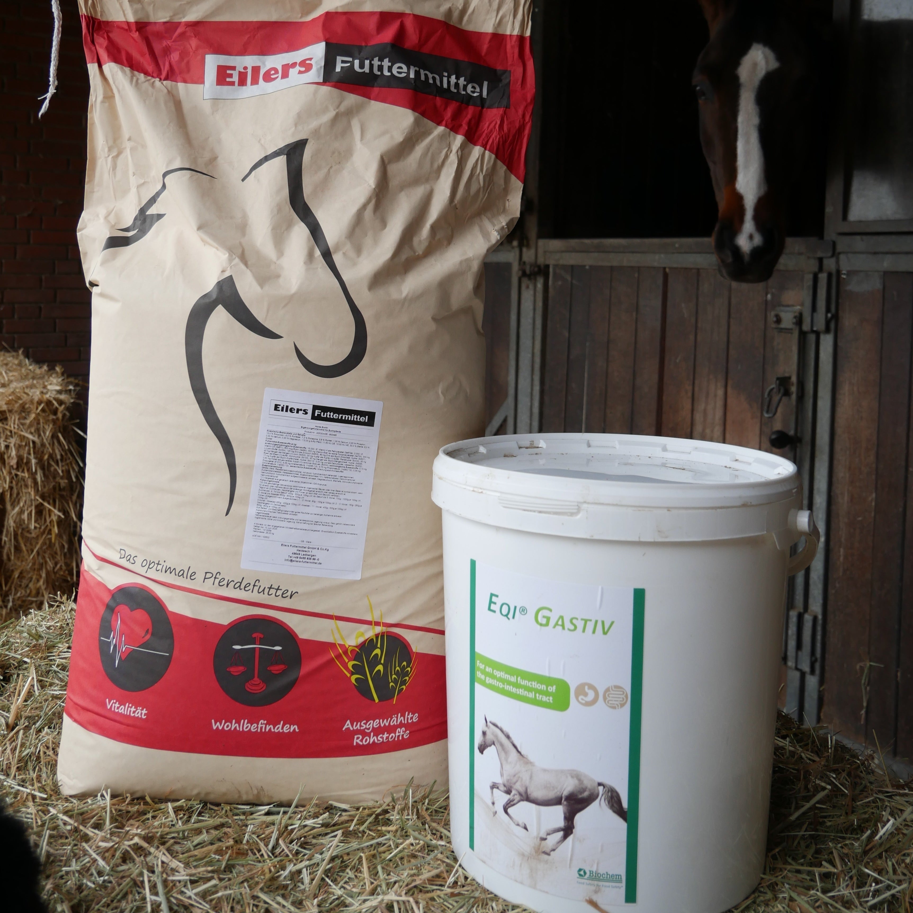 Weidesaison ahead - Schon den Darm fit gemacht?