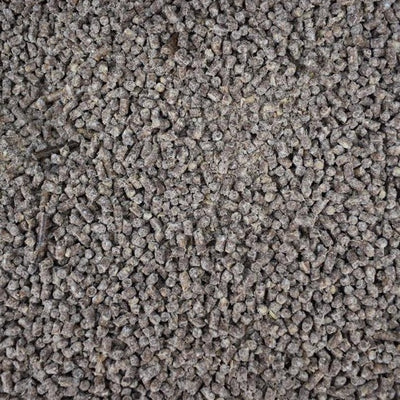 Aufgeschlossene Leinsaat