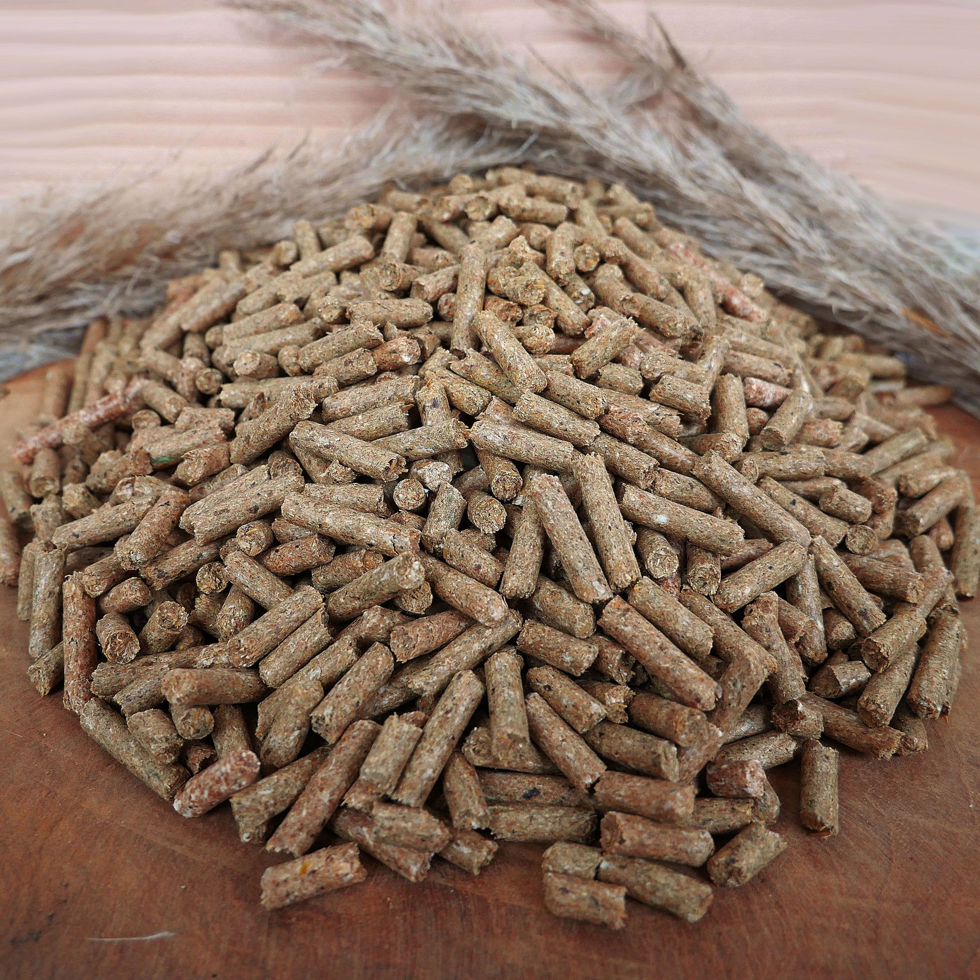 Pellets für Freizeit- und Sportpferde - Pferdefutter Pellet gesackt 25 kg