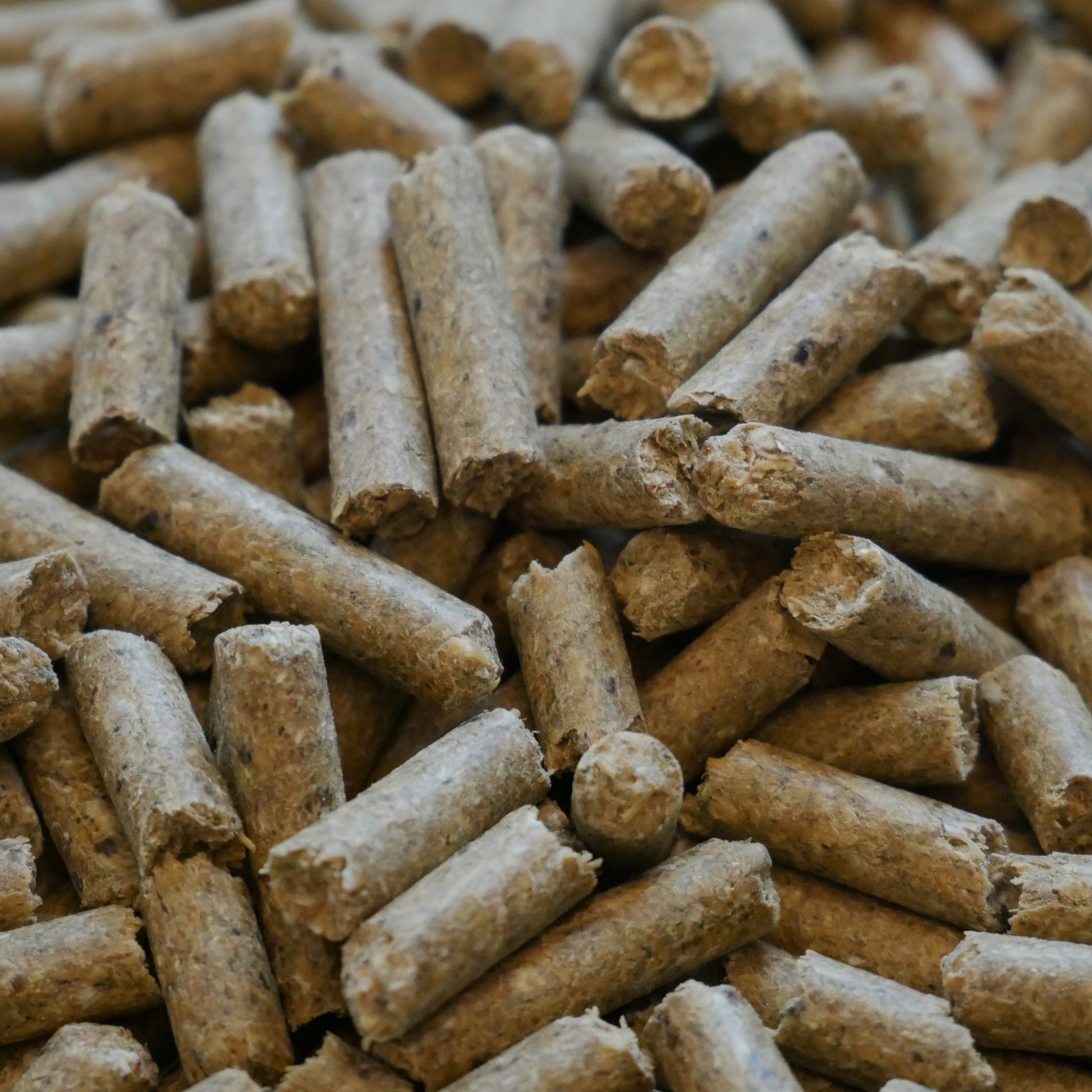 Pellets für Freizeit- und Sportpferde - Pferdefutter Pellet gesackt 25 kg