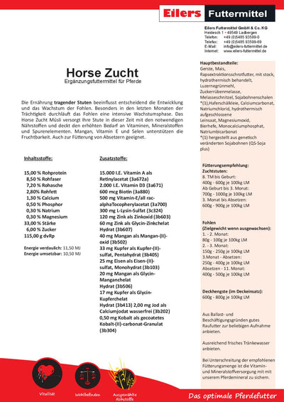 Horse Zucht